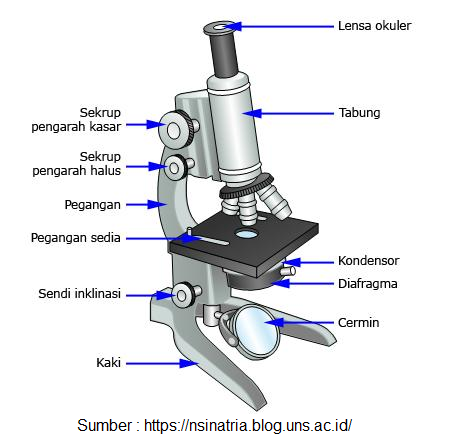 Detail Gambar Alat Alat Optik Nomer 7