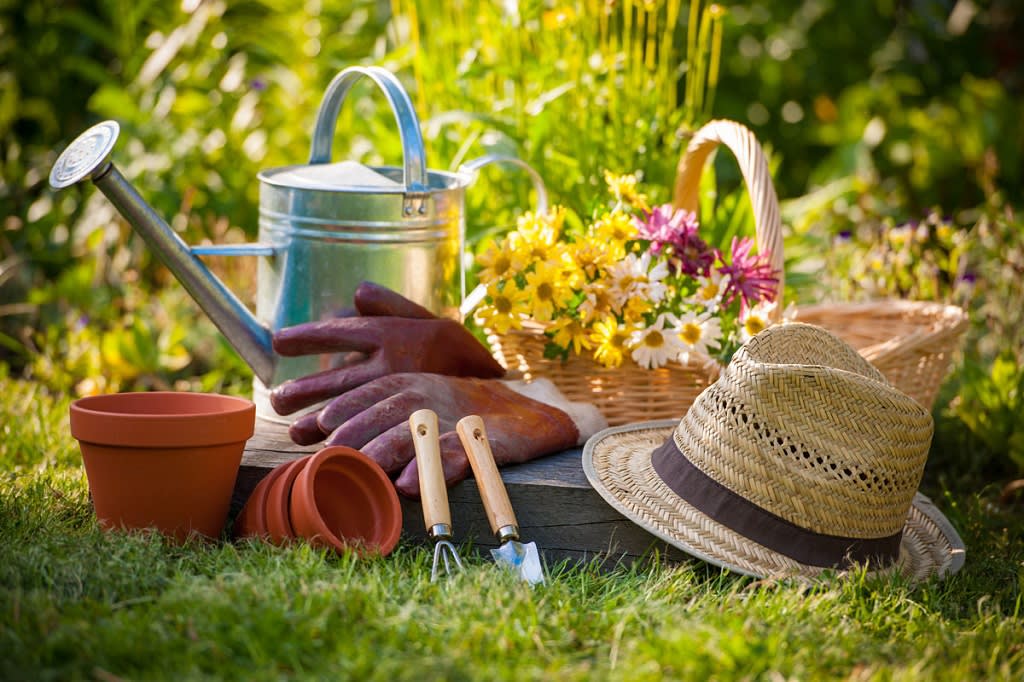 Detail Gambar Alat Berkebun Nomer 10