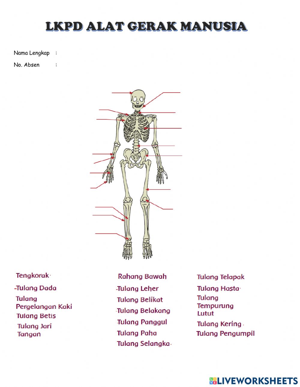 Detail Gambar Alat Gerak Nomer 13