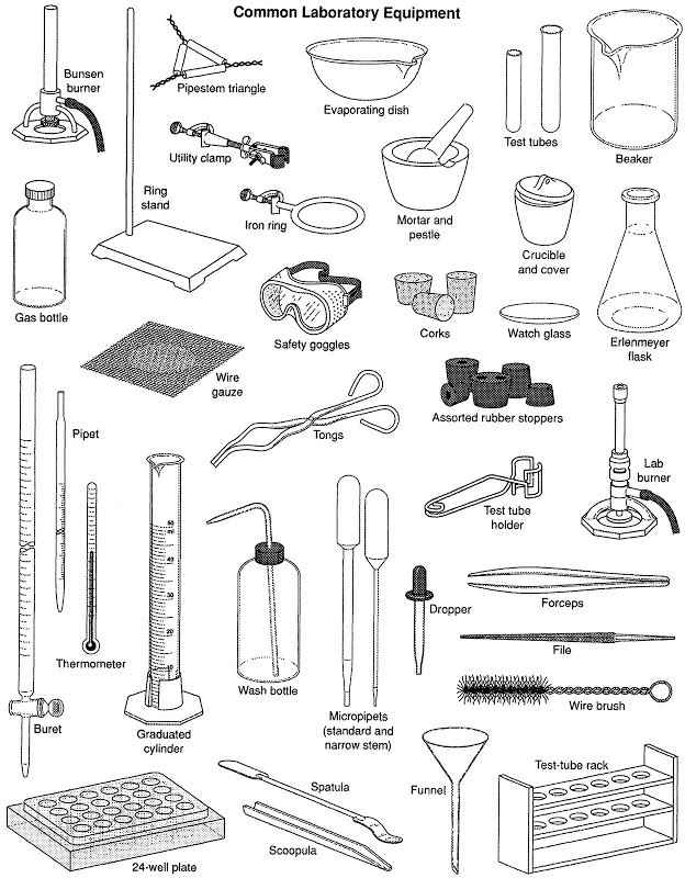 Detail Gambar Alat Laboratorium Biologi Nomer 2