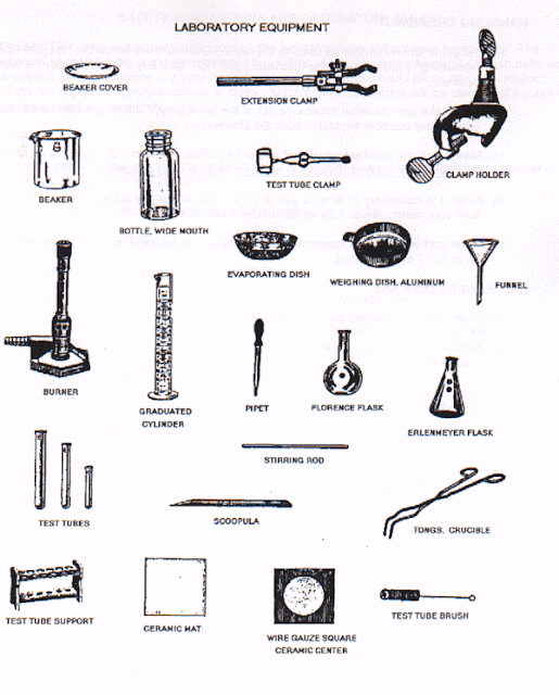 Detail Gambar Alat Laboratorium Biologi Nomer 11