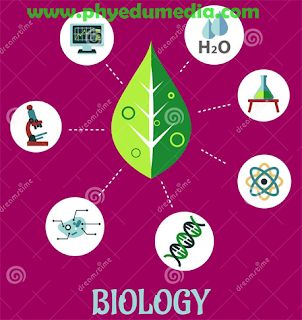 Detail Gambar Alat Laboratorium Biologi Nomer 32