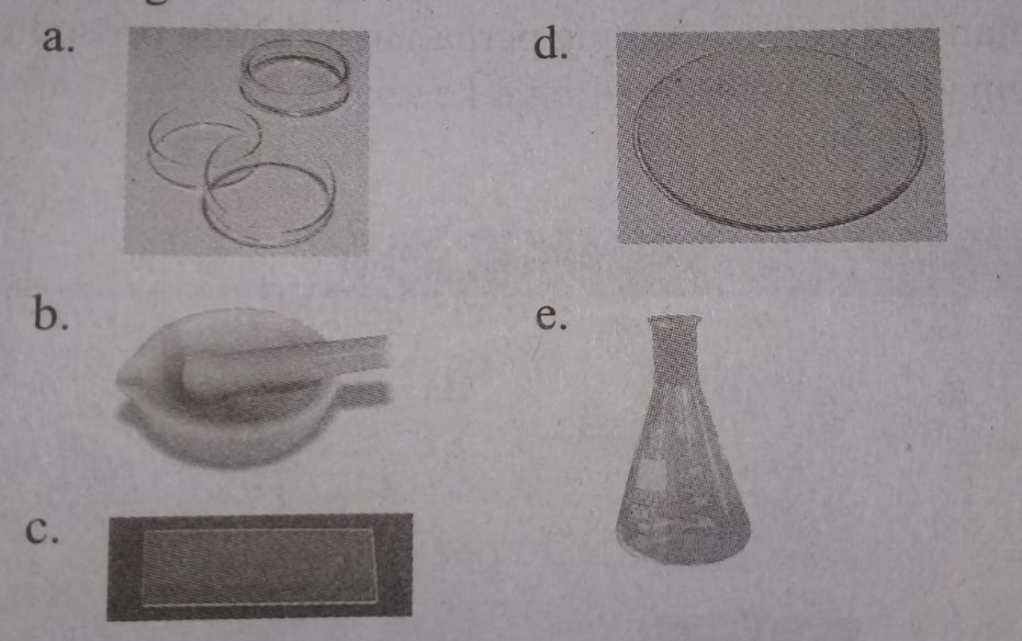 Detail Gambar Alat Laboratorium Biologi Nomer 40