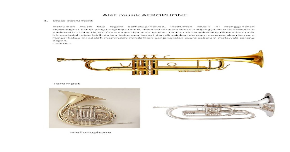 Detail Gambar Alat Musik Aerophone Nomer 19