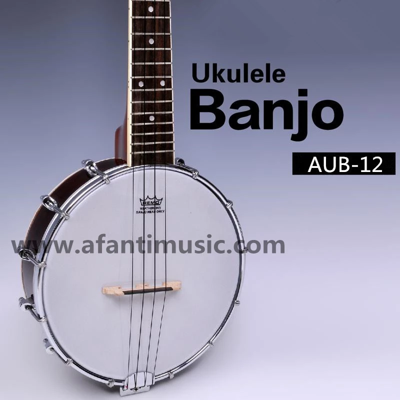 Detail Gambar Alat Musik Banjo Nomer 32