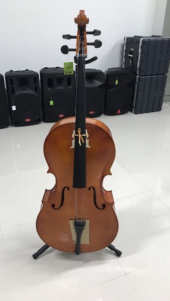 Detail Gambar Alat Musik Cello Nomer 12
