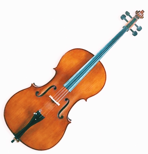 Detail Gambar Alat Musik Cello Nomer 21
