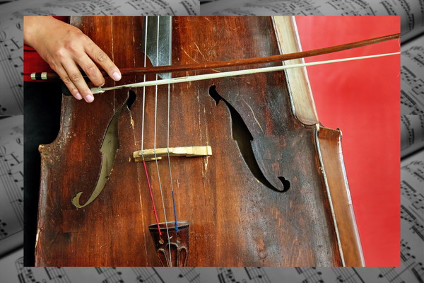 Detail Gambar Alat Musik Cello Nomer 24
