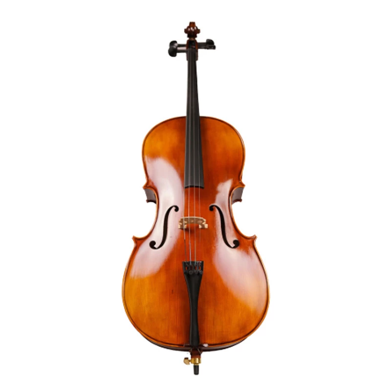 Detail Gambar Alat Musik Cello Nomer 4