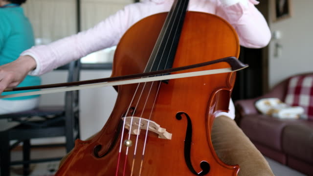 Detail Gambar Alat Musik Cello Nomer 36