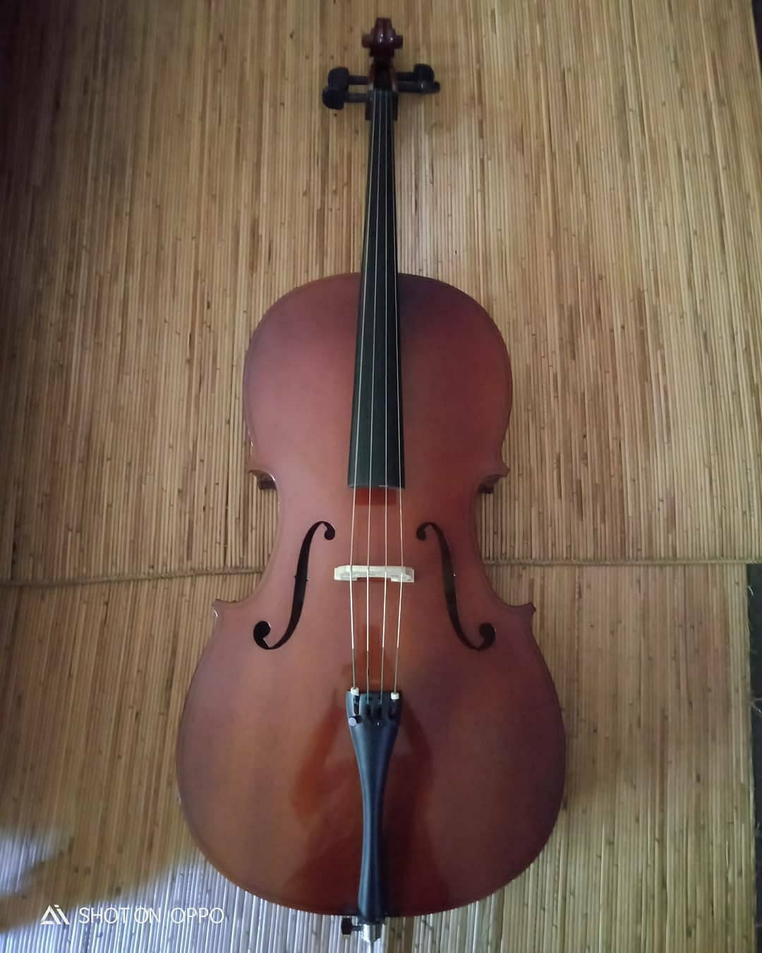 Detail Gambar Alat Musik Cello Nomer 56