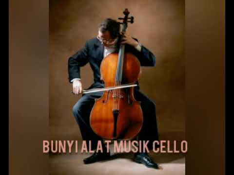 Detail Gambar Alat Musik Cello Nomer 57