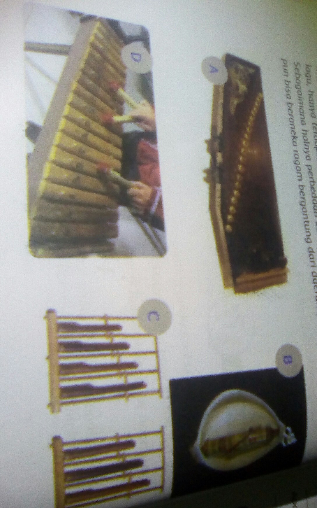 Detail Gambar Alat Musik Dan Asal Daerah Nomer 50