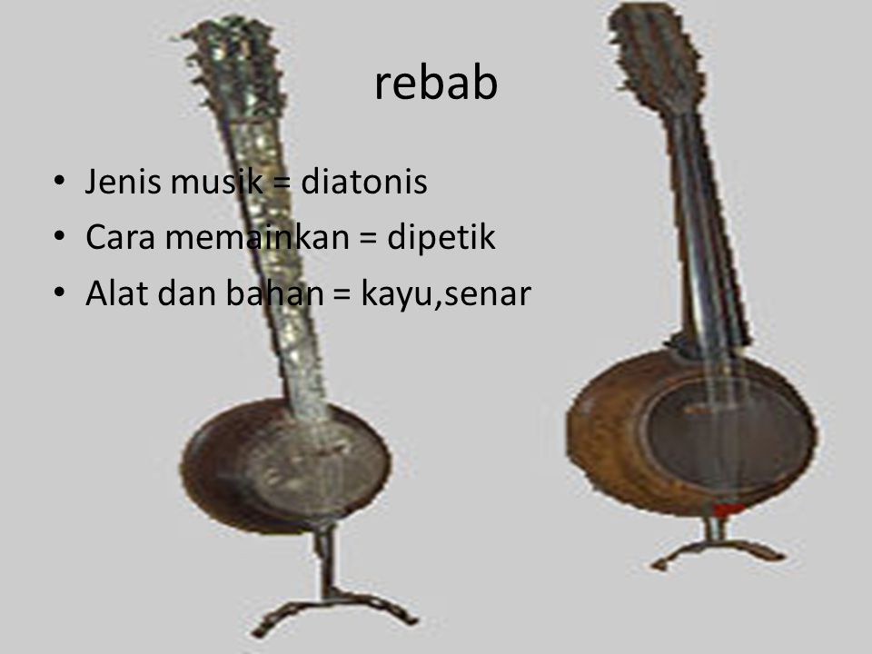 Detail Gambar Alat Musik Diatonis Nomer 24