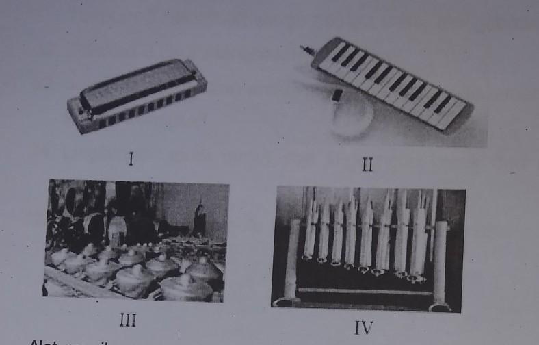 Detail Gambar Alat Musik Diatonis Nomer 30