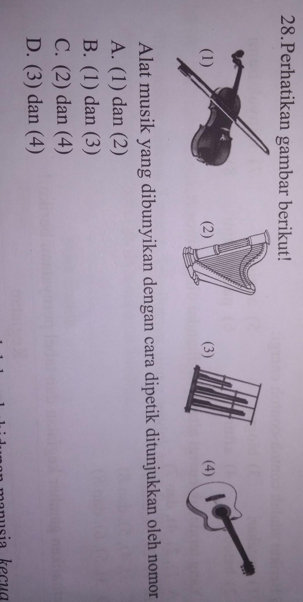 Detail Gambar Alat Musik Digesek Nomer 44