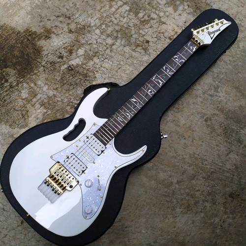 Detail Gambar Alat Musik Gitar Listrik Nomer 18