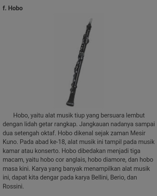 Detail Gambar Alat Musik Hobo Nomer 9