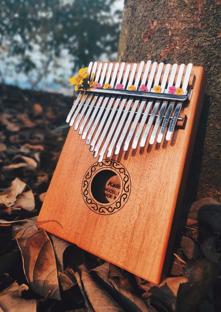 Detail Gambar Alat Musik Kalimba Nomer 54