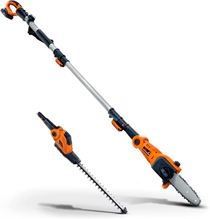 Detail Zierhecke Eibe Nomer 5