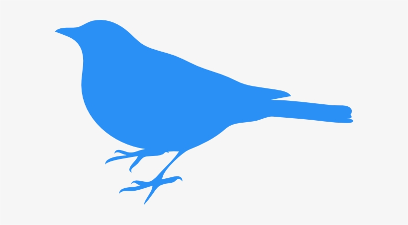 Detail Blu Bird Nomer 9