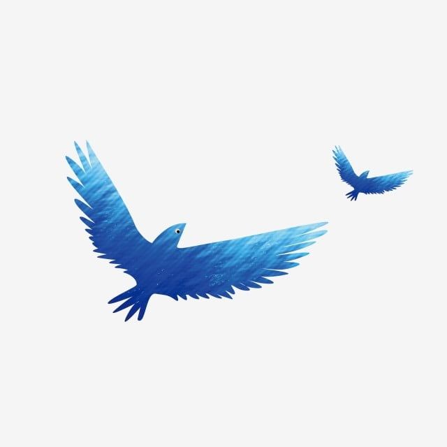 Detail Blu Bird Nomer 22