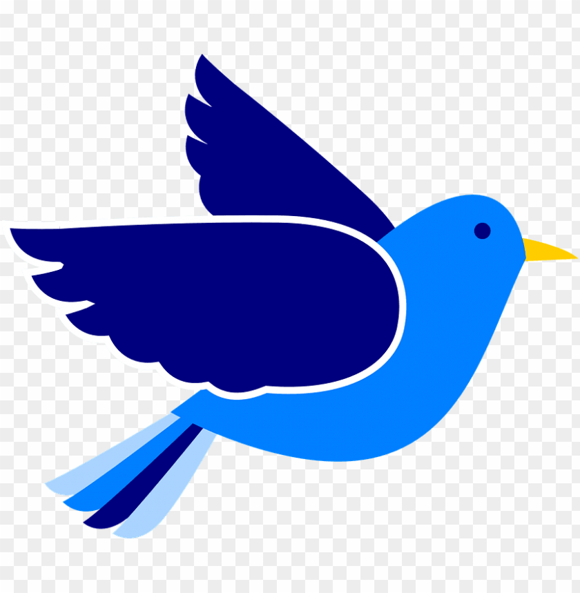 Detail Blu Bird Nomer 6