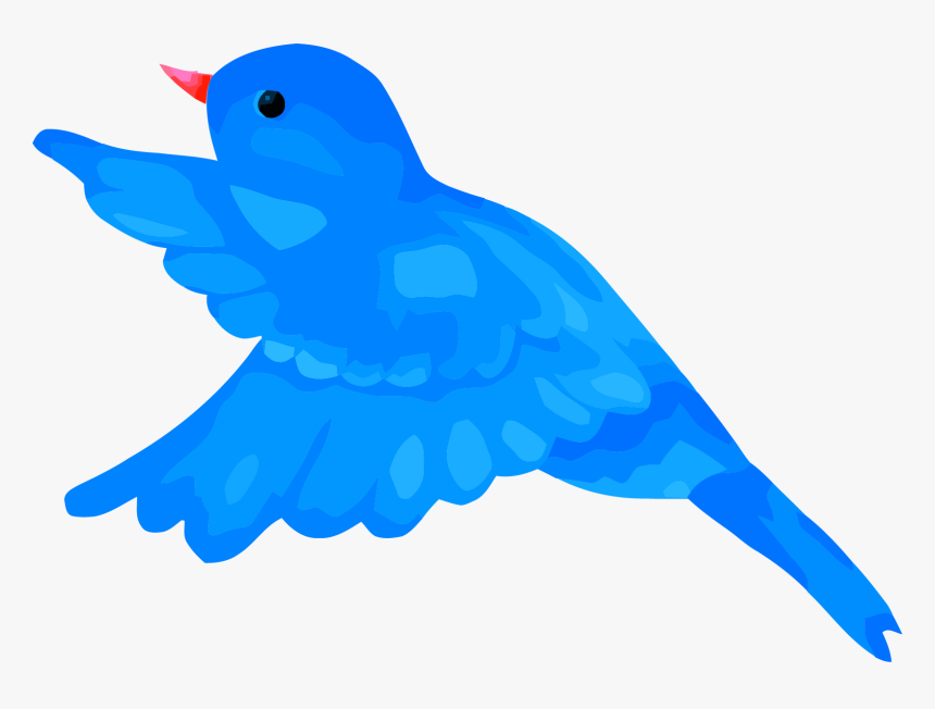 Detail Blu Bird Nomer 8