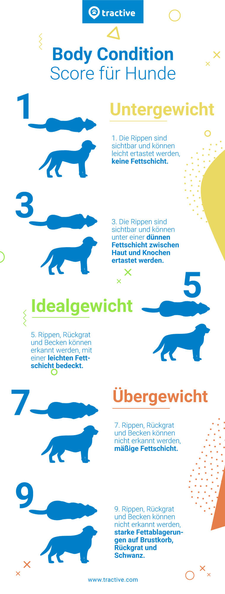 Body Score Index Hund - KibrisPDR