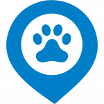 Detail Body Score Index Hund Nomer 11