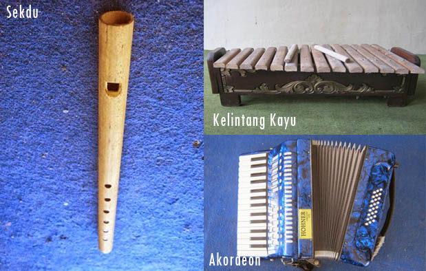 Detail Gambar Alat Musik Melayu Akordian Nomer 15