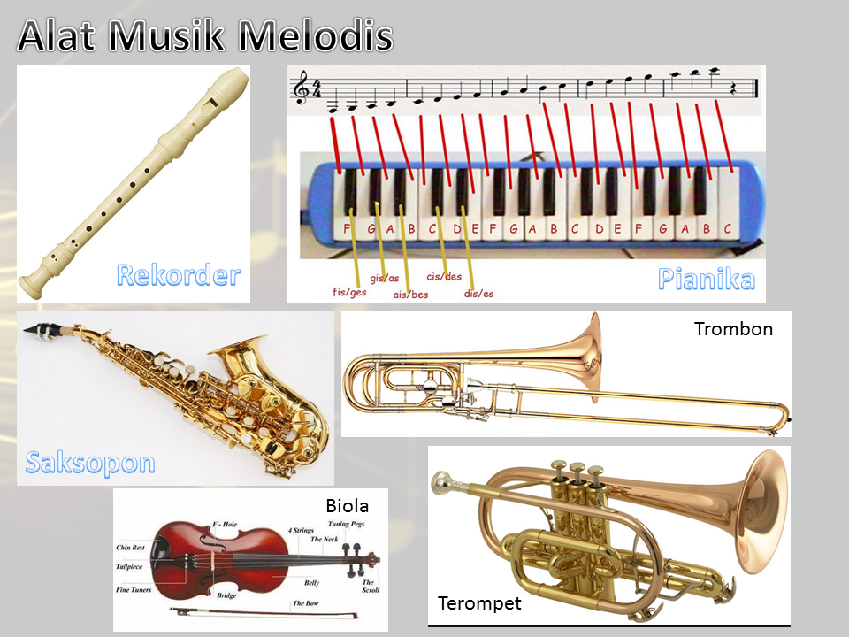 Detail Gambar Alat Musik Melodis Dan Namanya Nomer 13