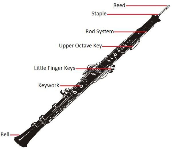 Detail Gambar Alat Musik Oboe Nomer 10