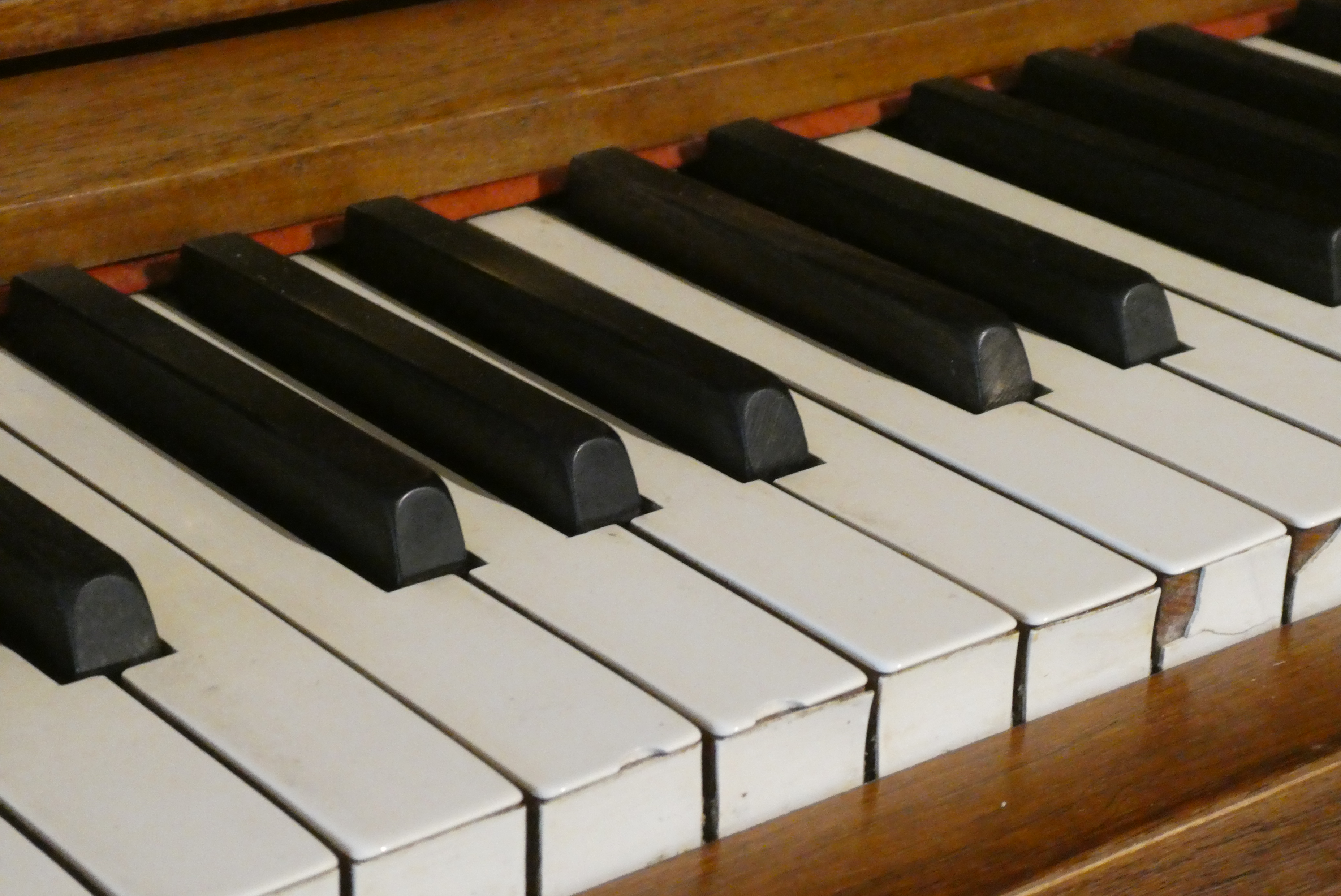 Detail Gambar Alat Musik Organ Nomer 44