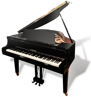 Detail Gambar Alat Musik Piano Nomer 11