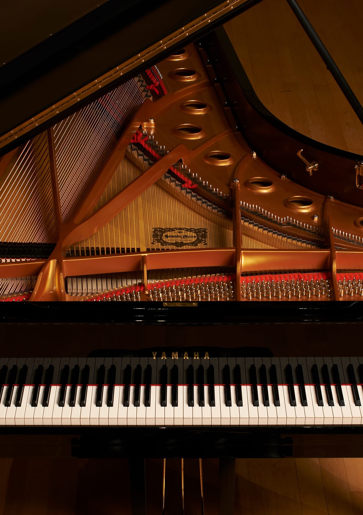 Detail Gambar Alat Musik Piano Nomer 26