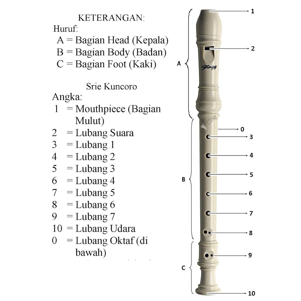 Detail Gambar Alat Musik Recorder Nomer 10