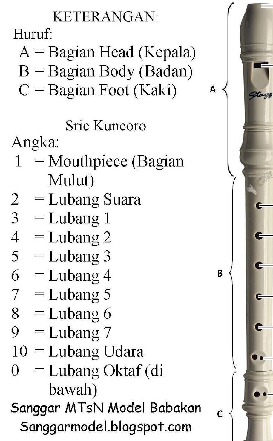 Detail Gambar Alat Musik Recorder Nomer 22