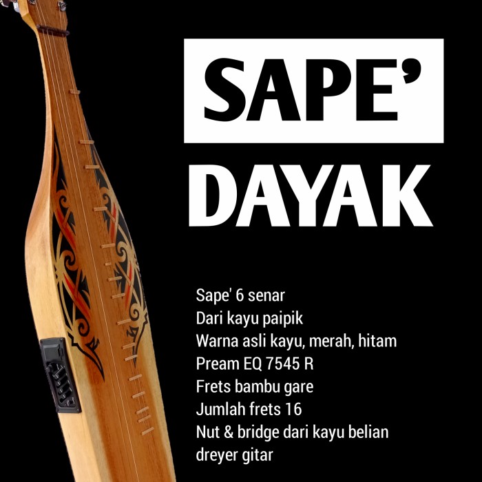 Detail Gambar Alat Musik Sape Nomer 19