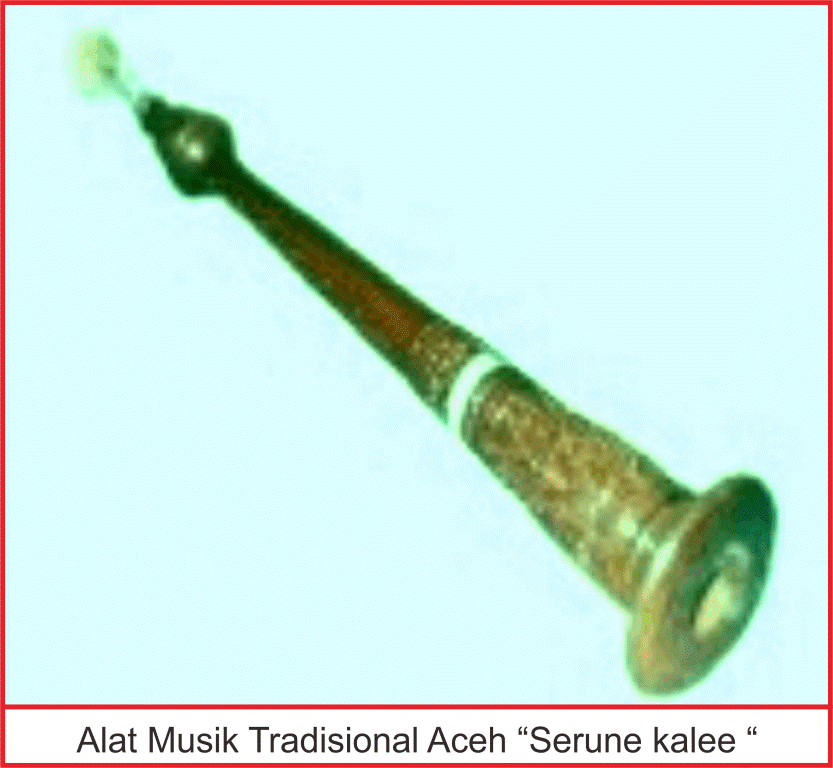 Detail Gambar Alat Musik Serune Kalee Nomer 15