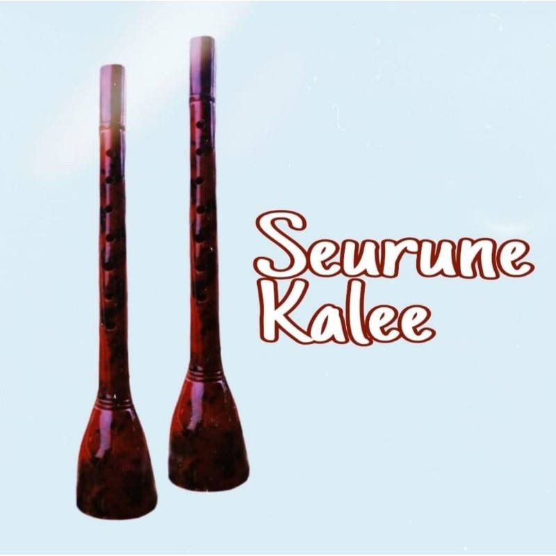 Detail Gambar Alat Musik Serune Kalee Nomer 23