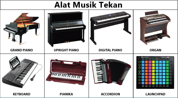 Detail Gambar Alat Musik Tekan Nomer 2