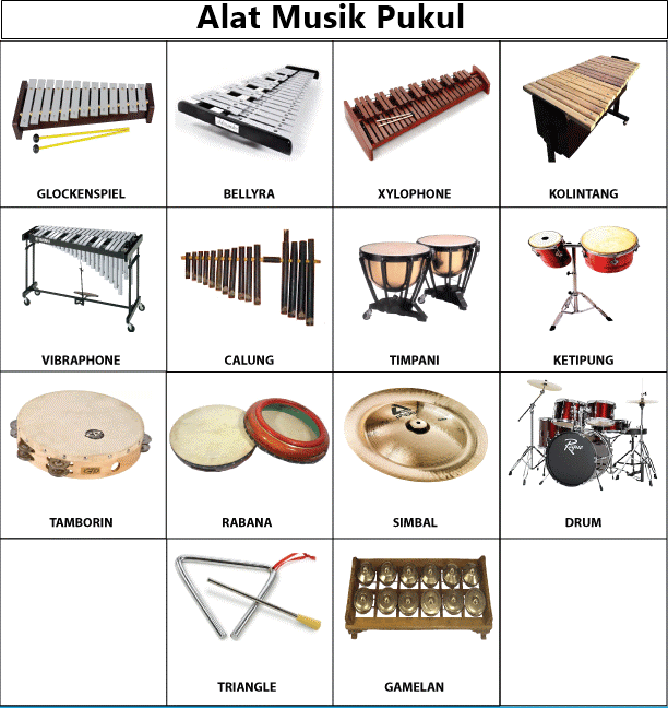 Detail Gambar Alat Musik Tekan Nomer 49