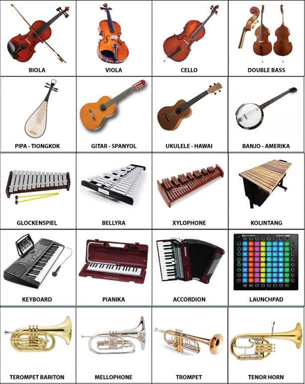 Detail Gambar Alat Musik Tekan Nomer 6