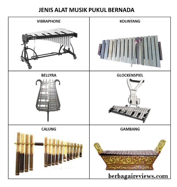 Detail Gambar Alat Musik Tekan Nomer 7