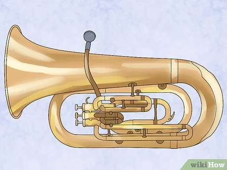 Detail Gambar Alat Musik Tuba Nomer 22