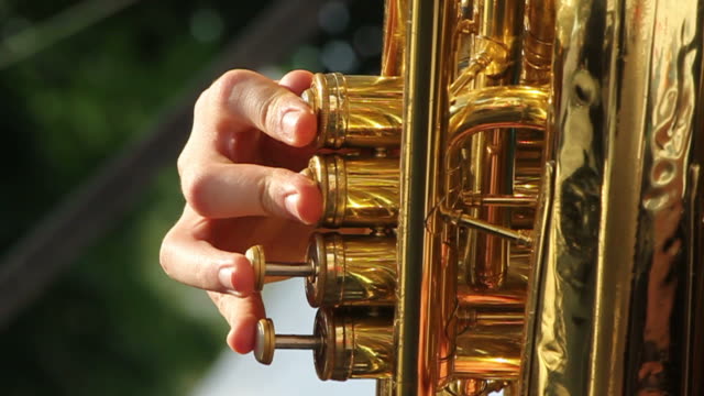 Detail Gambar Alat Musik Tuba Nomer 40