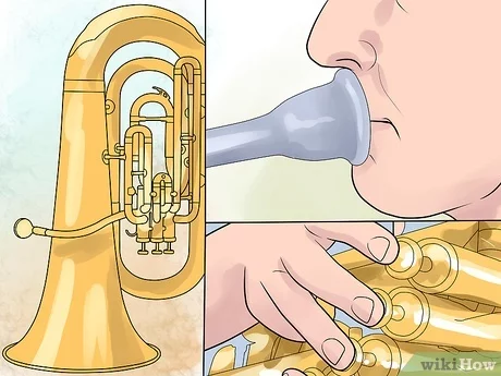 Detail Gambar Alat Musik Tuba Nomer 53