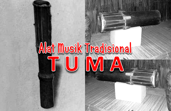 Detail Gambar Alat Musik Tuma Dari Kalimantan Barat Nomer 16