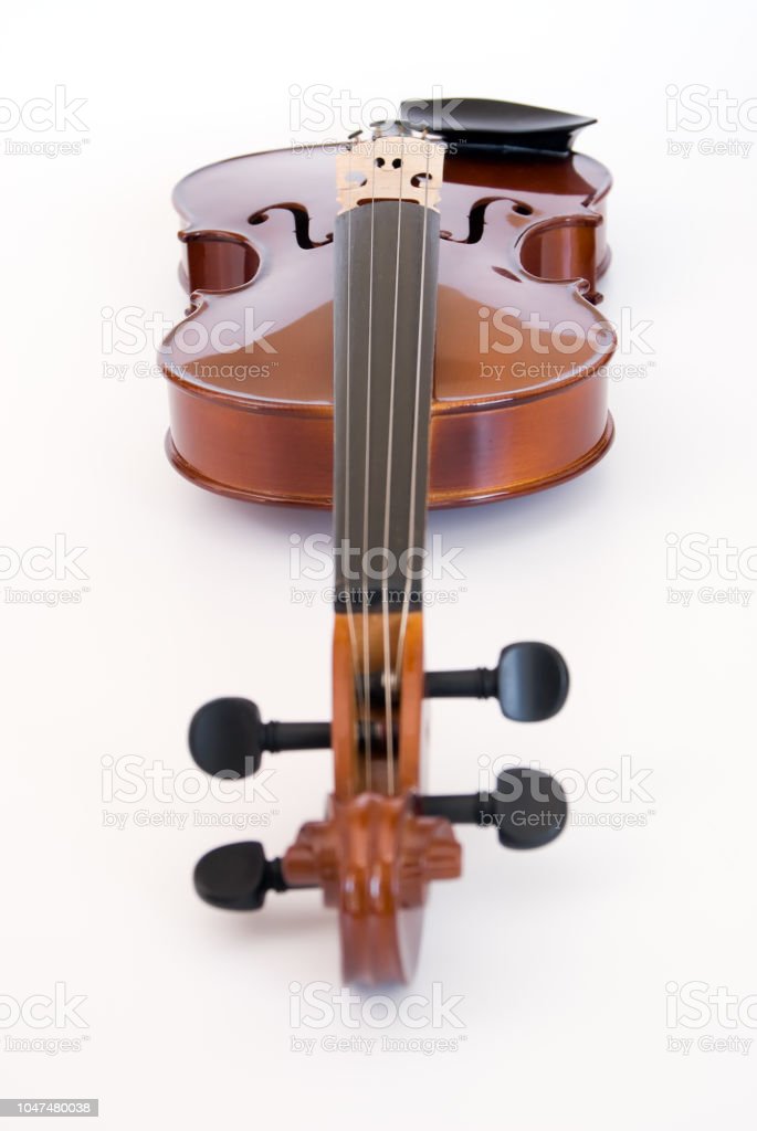 Detail Gambar Alat Musik Viola Nomer 14